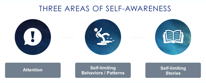 Self Awareness 3 Area